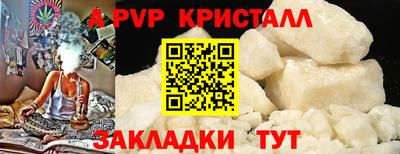 2c-b Кингисепп