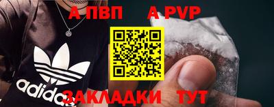 2c-b Кингисепп